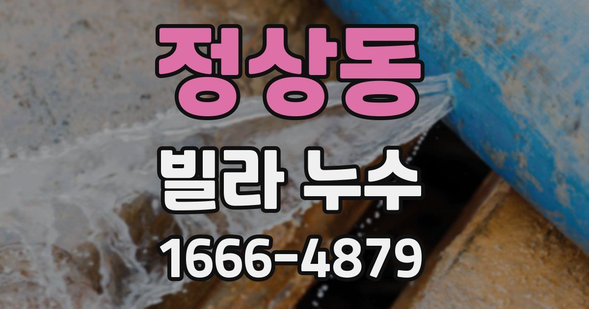 정상동 빌라 누수