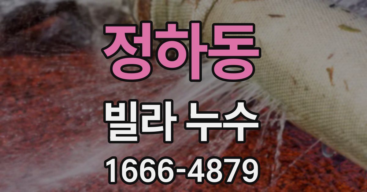 정하동 빌라 누수