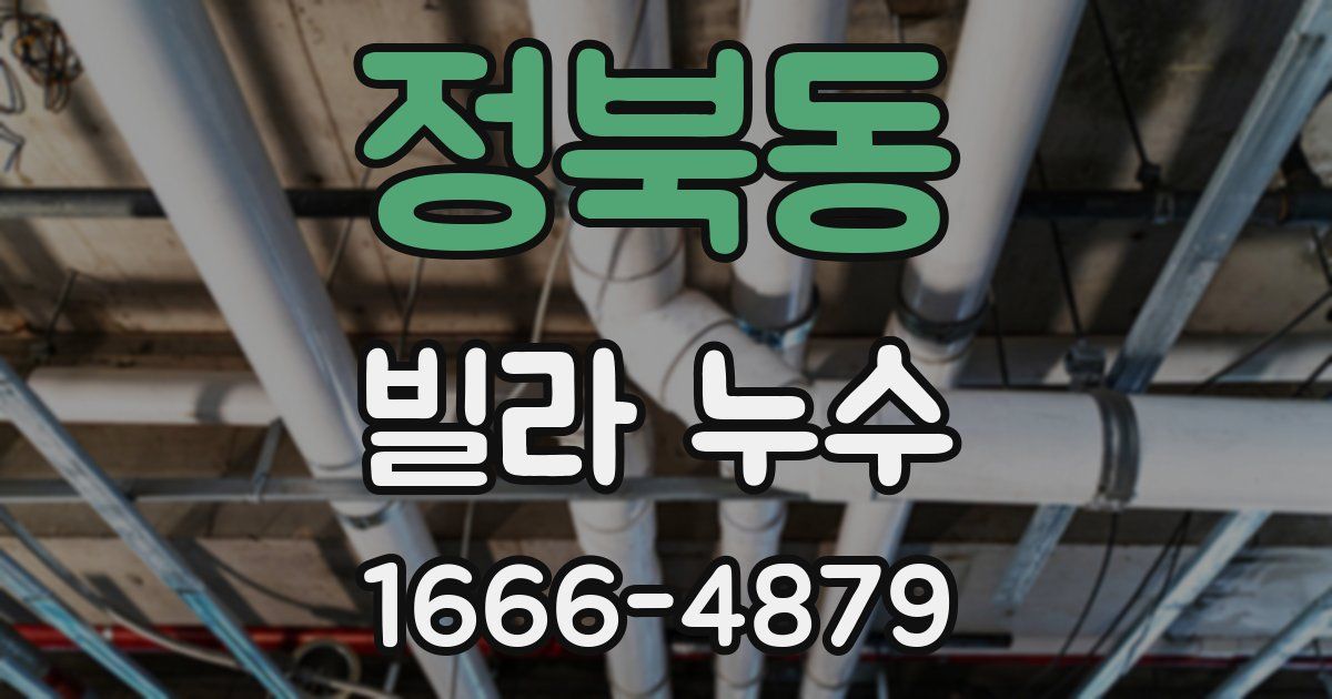 정북동 빌라 누수