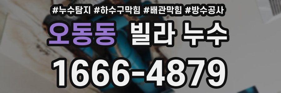 오동동 빌라 누수
