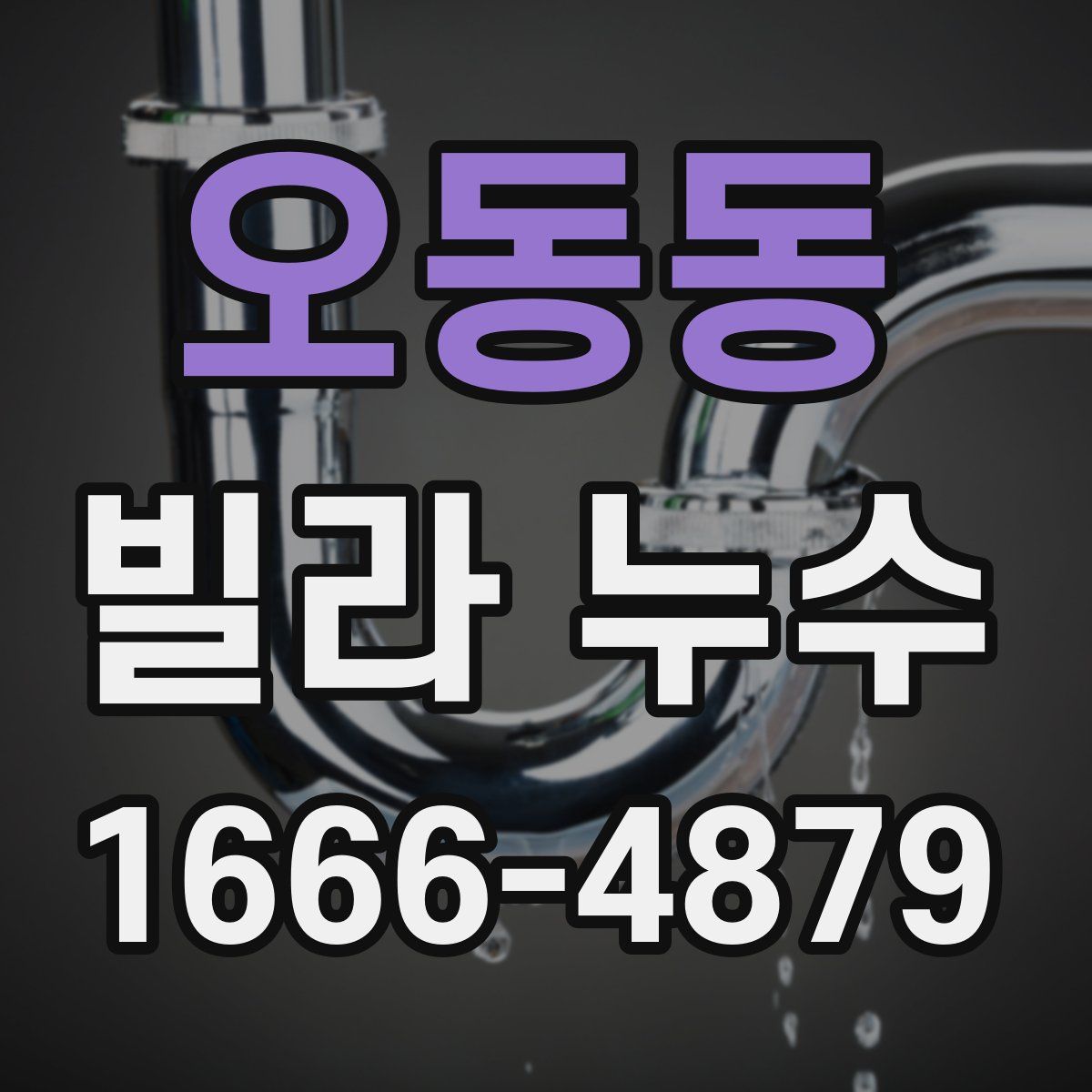 오동동 빌라 누수