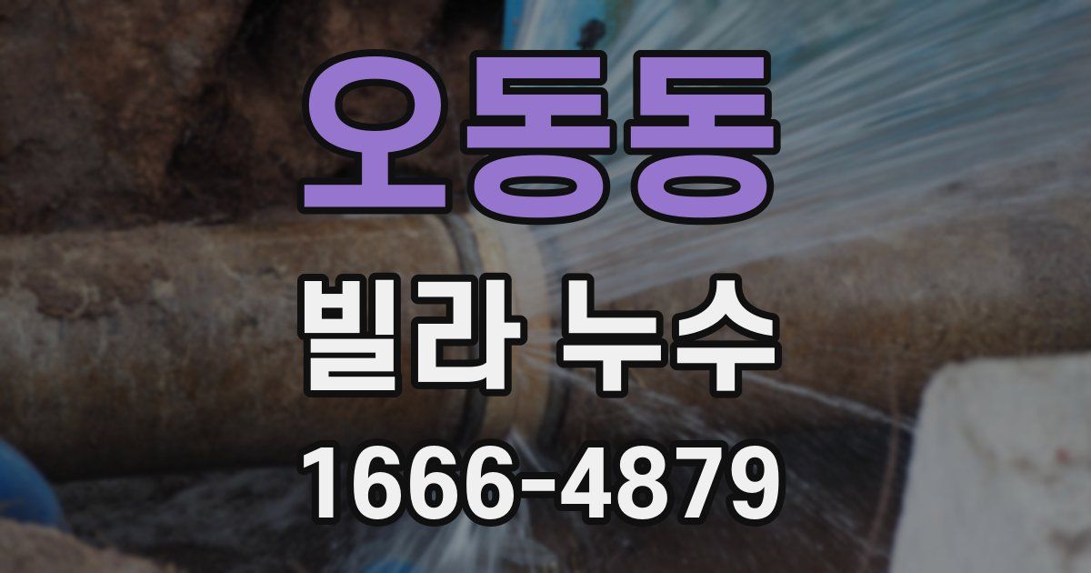 오동동 빌라 누수
