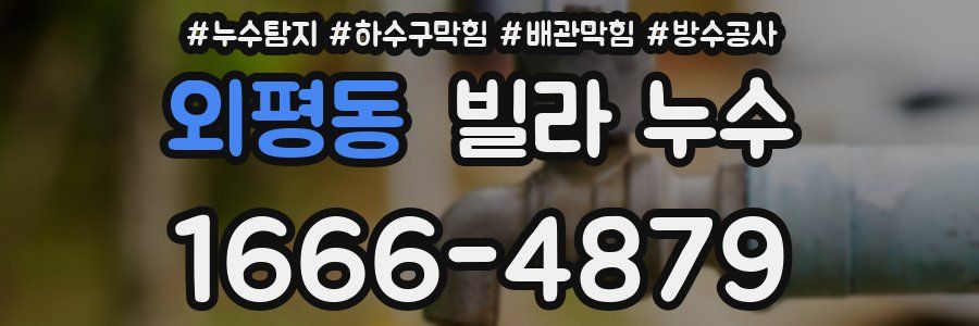 외평동 빌라 누수