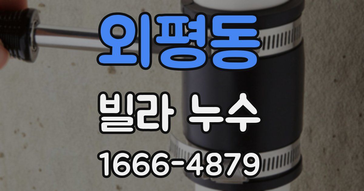 외평동 빌라 누수