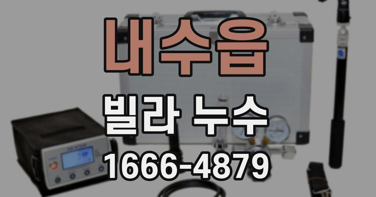 내수읍 빌라 누수