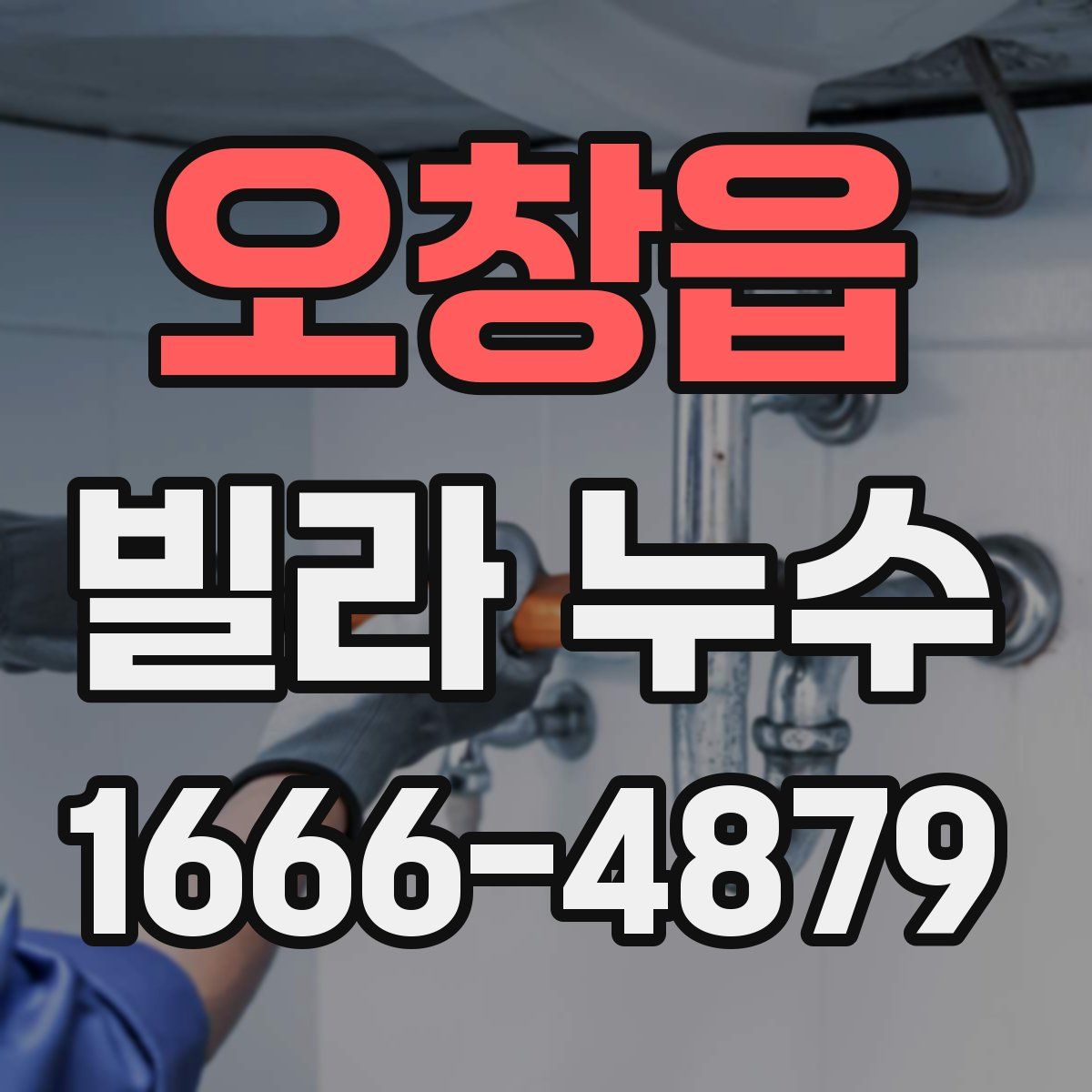 오창읍 빌라 누수