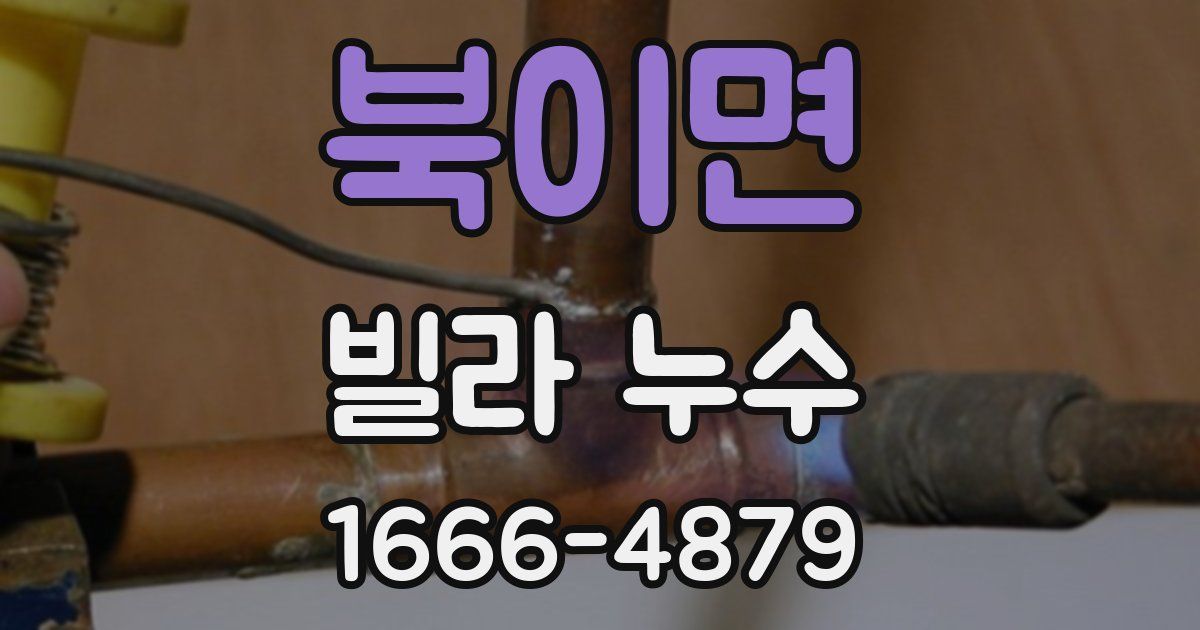 북이면 빌라 누수