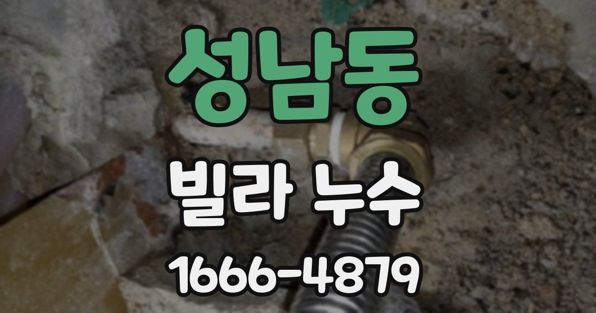 성남동 빌라 누수