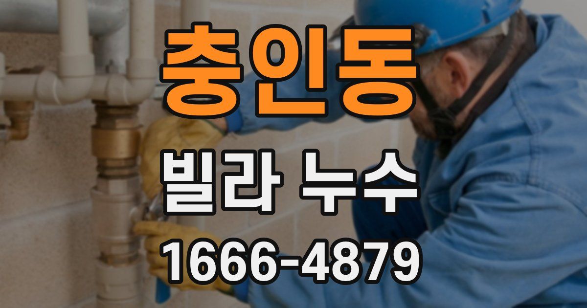 충인동 빌라 누수