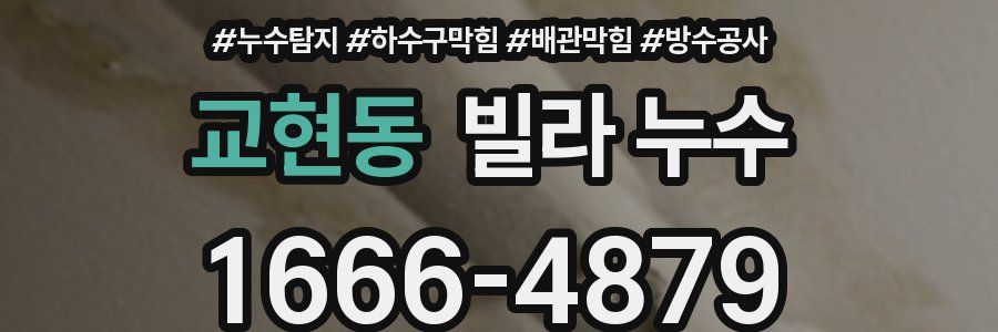 교현동 빌라 누수