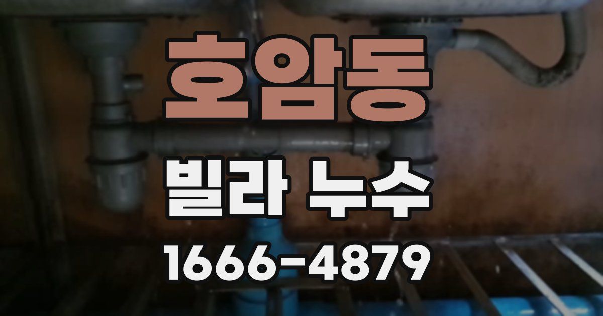 호암동 빌라 누수