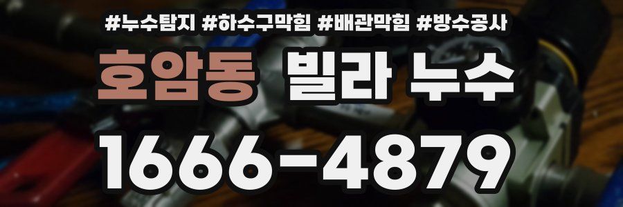 호암동 빌라 누수