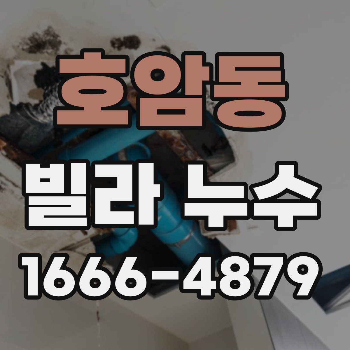 호암동 빌라 누수