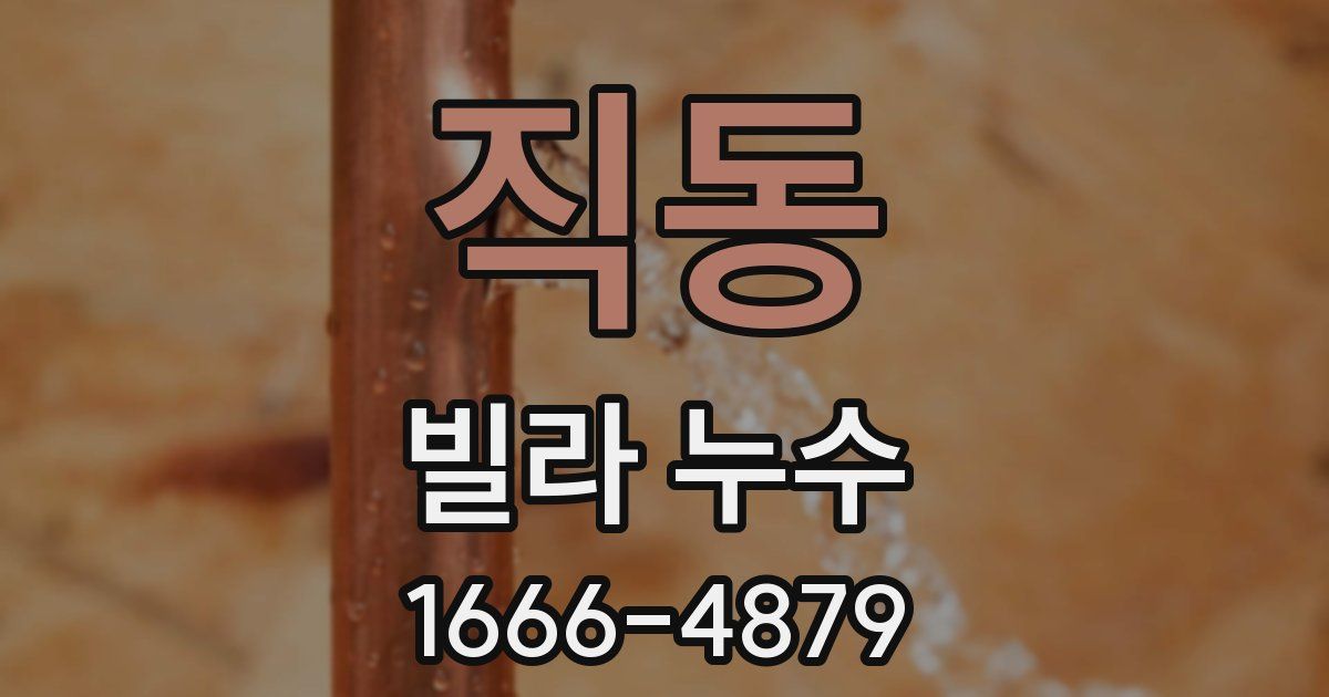 직동 빌라 누수