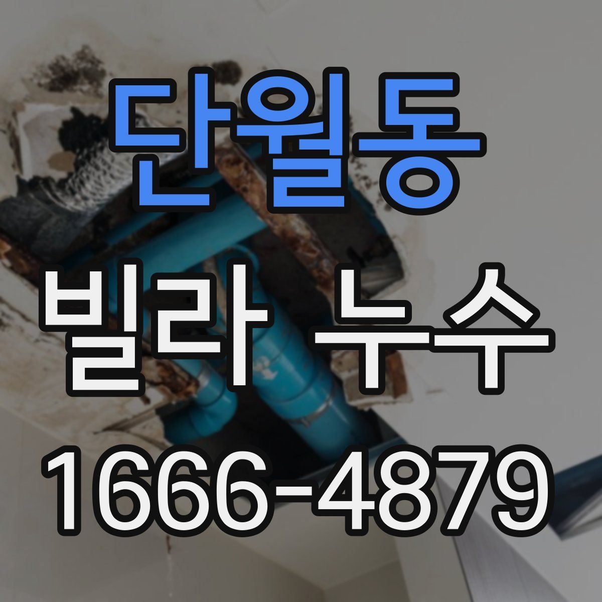 단월동 빌라 누수