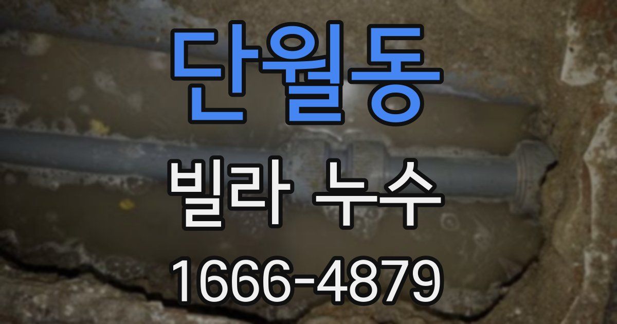 단월동 빌라 누수