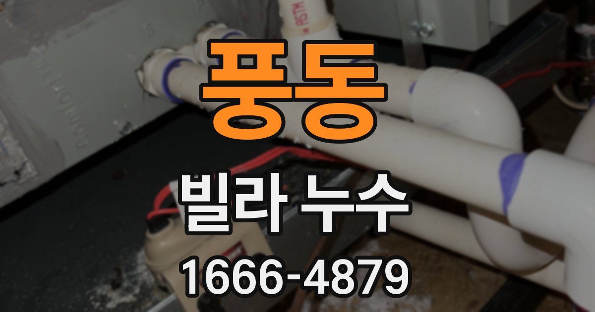 풍동 빌라 누수