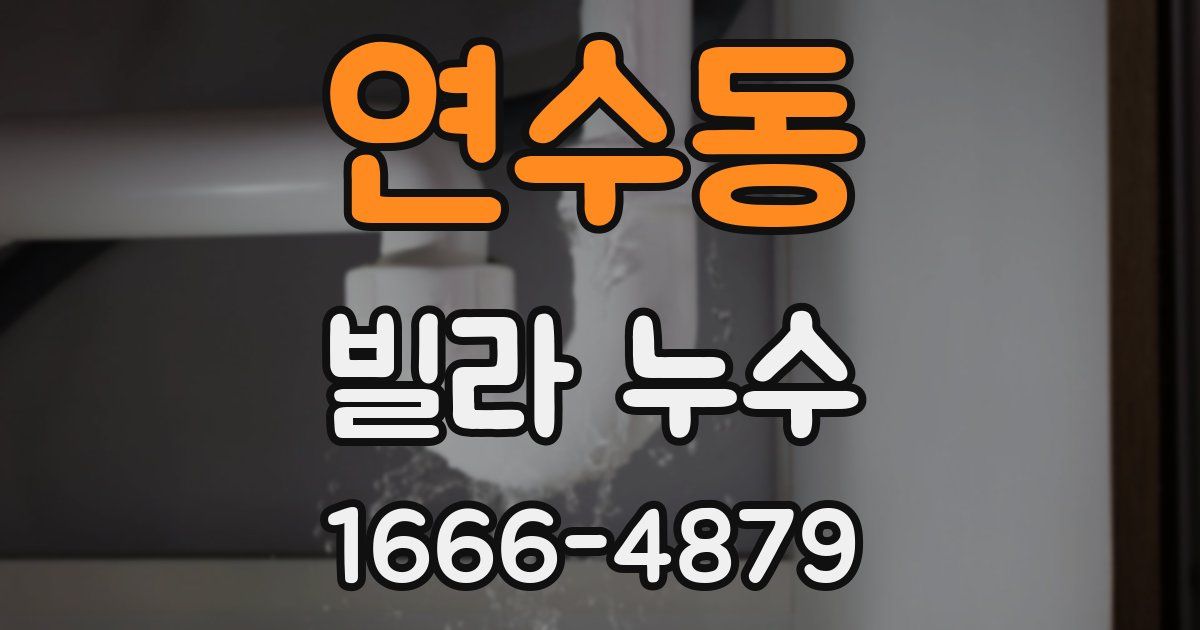 연수동 빌라 누수