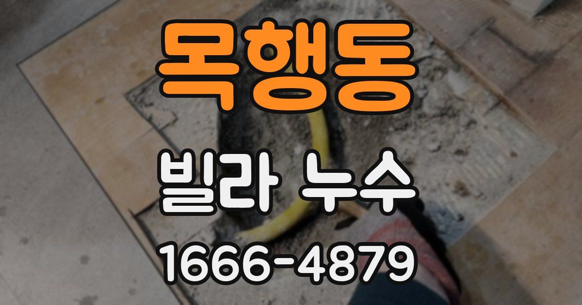 목행동 빌라 누수