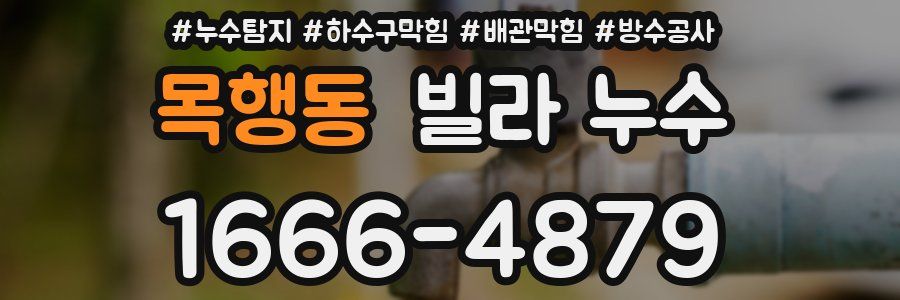 목행동 빌라 누수