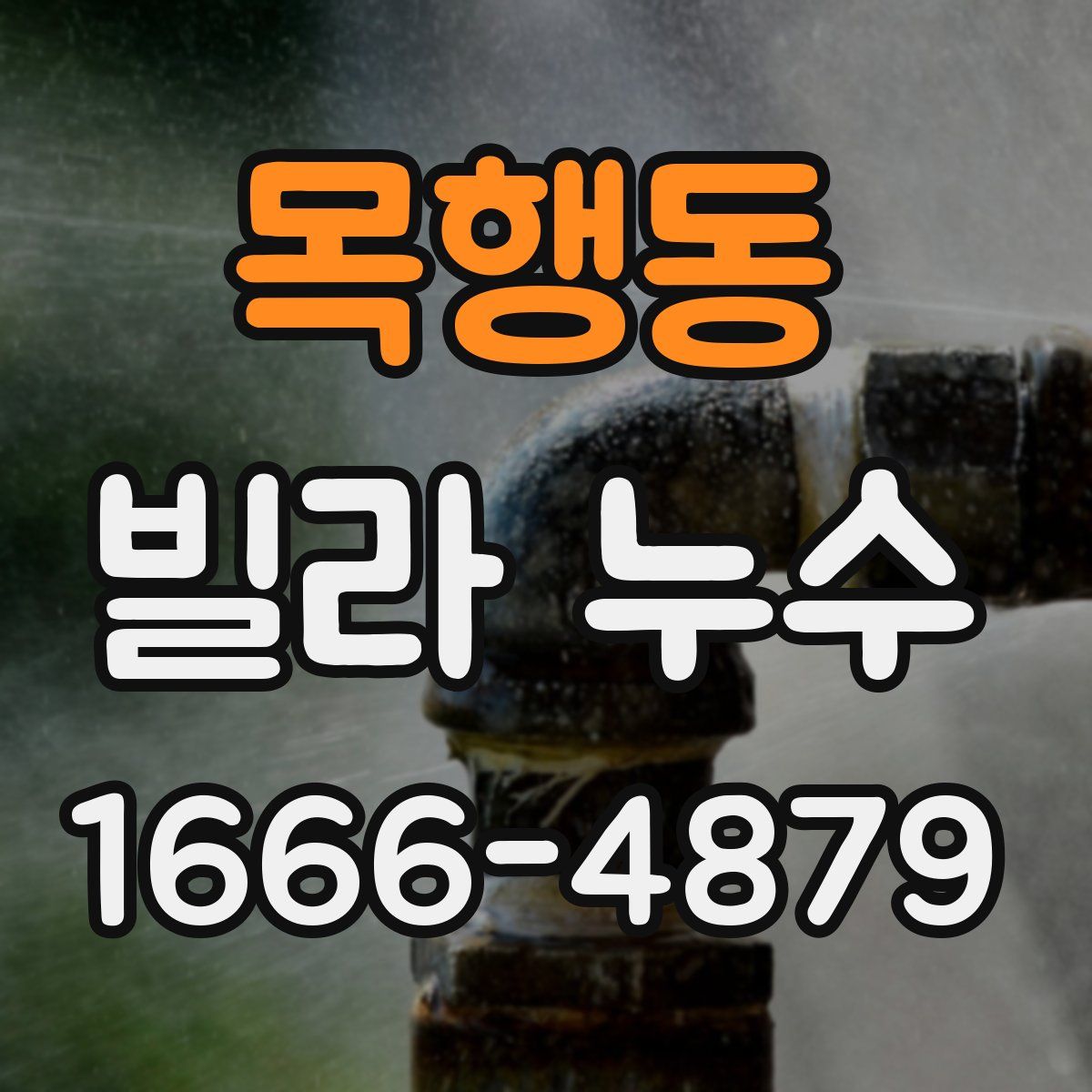 목행동 빌라 누수