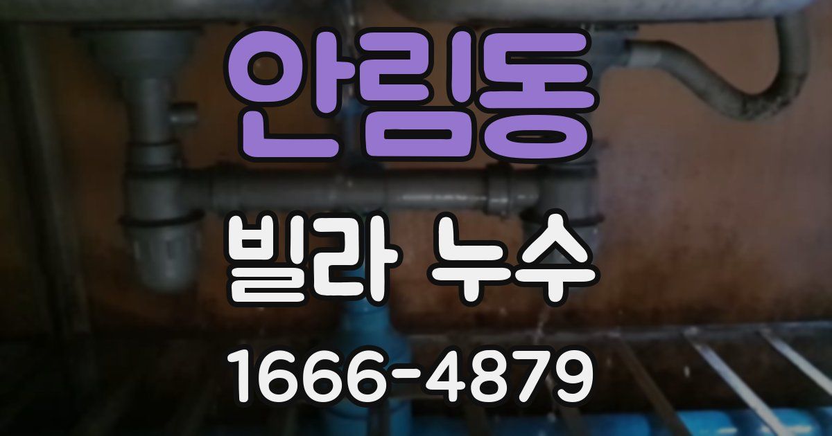 안림동 빌라 누수