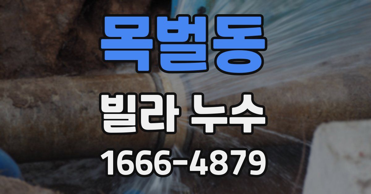 목벌동 빌라 누수