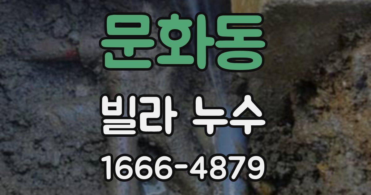 문화동 빌라 누수