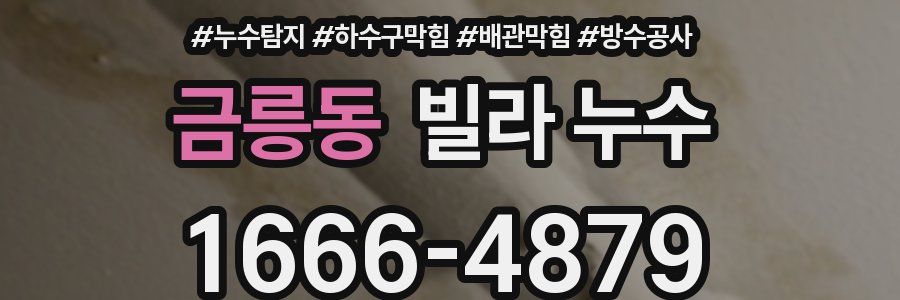 금릉동 빌라 누수