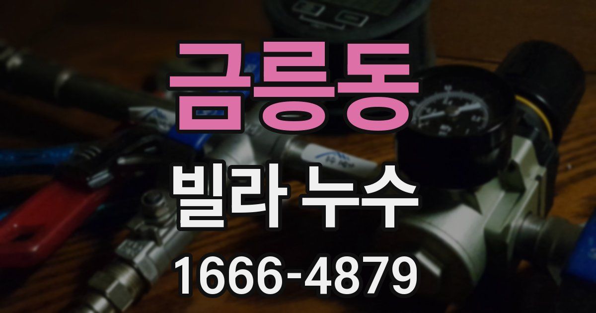 금릉동 빌라 누수