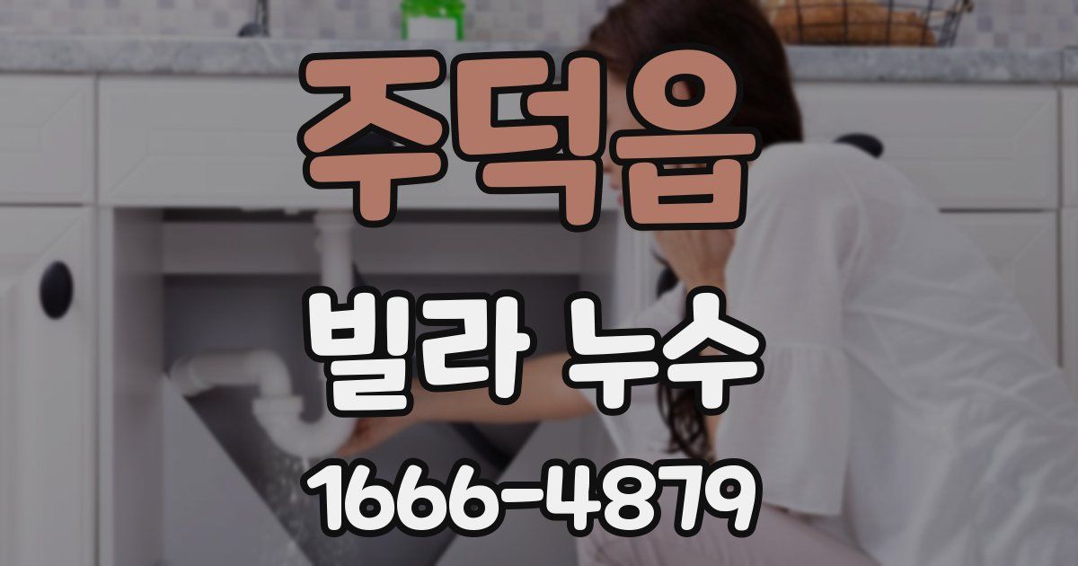 주덕읍 빌라 누수