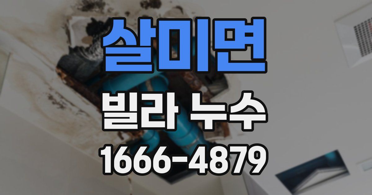 살미면 빌라 누수