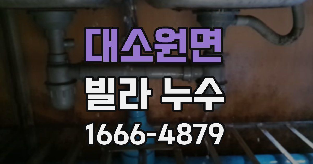 대소원면 빌라 누수