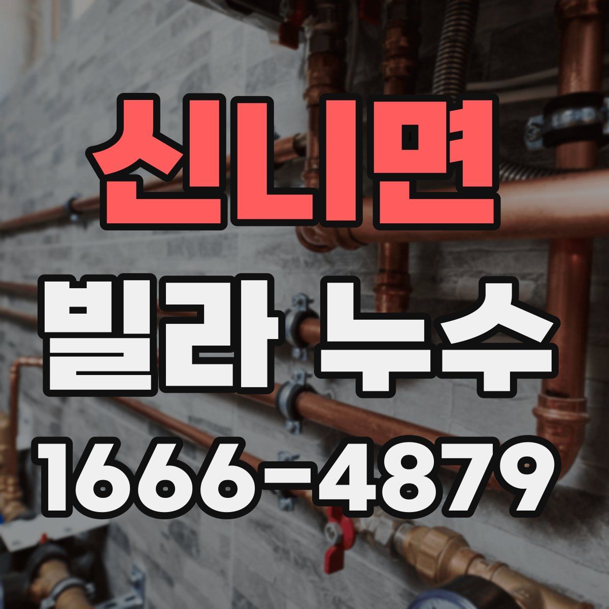 신니면 빌라 누수