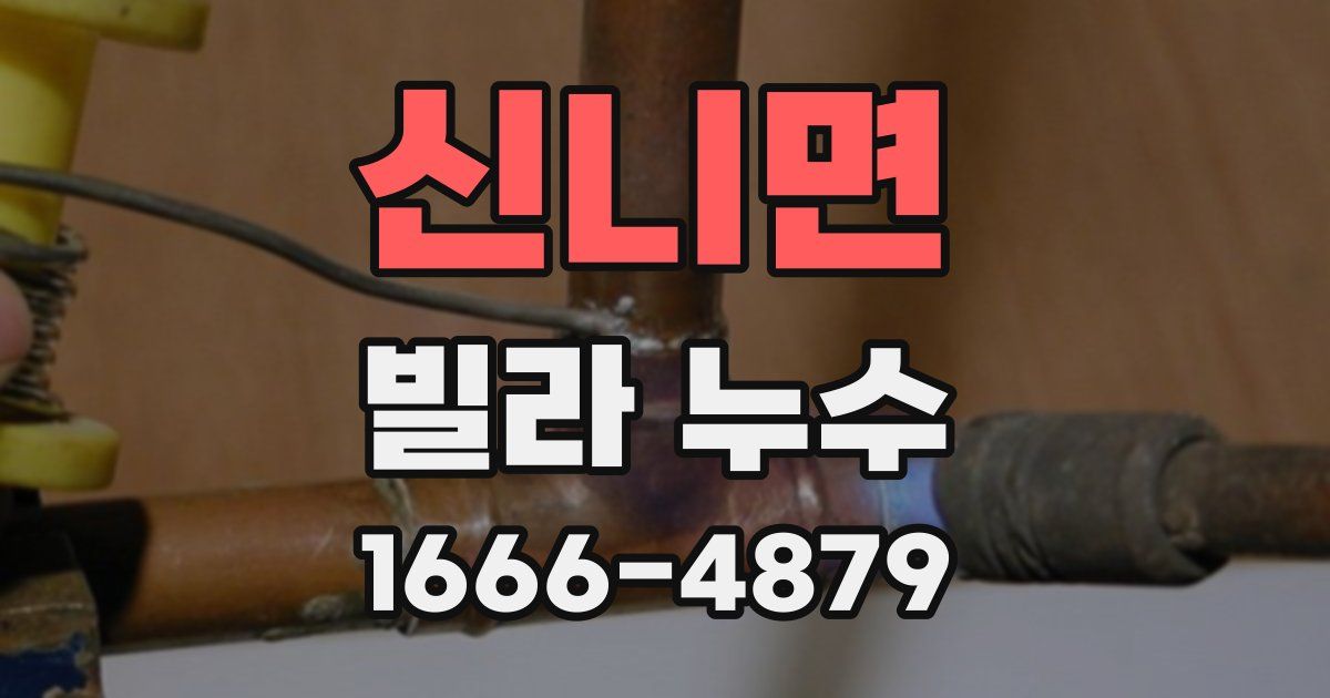 신니면 빌라 누수