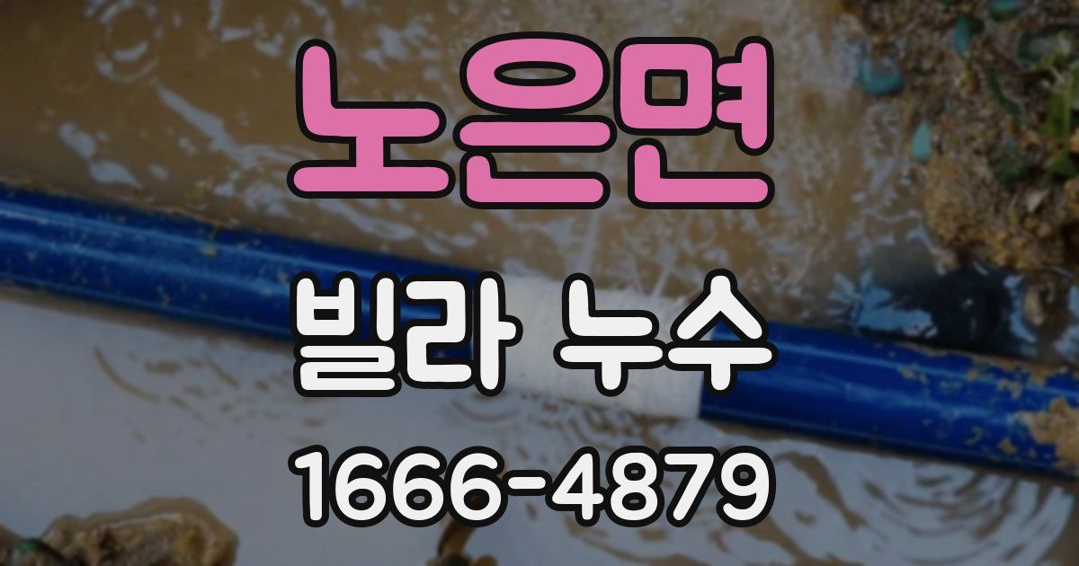 노은면 빌라 누수