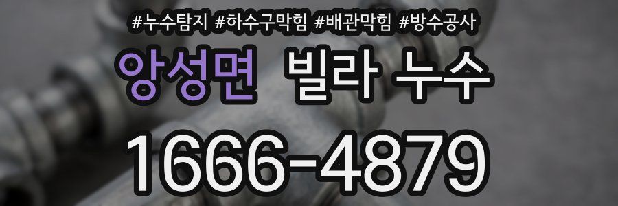 앙성면 빌라 누수
