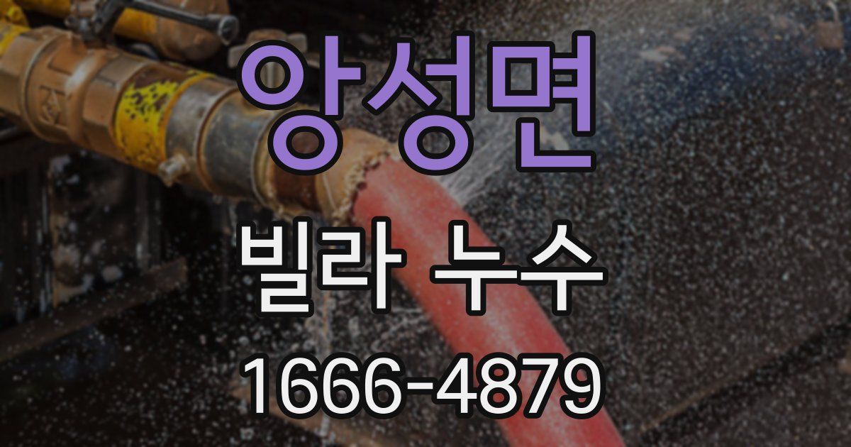 앙성면 빌라 누수