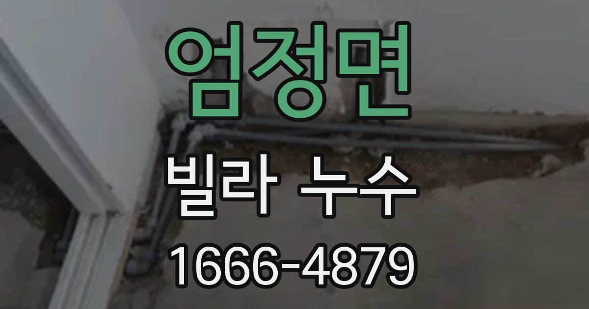 엄정면 빌라 누수
