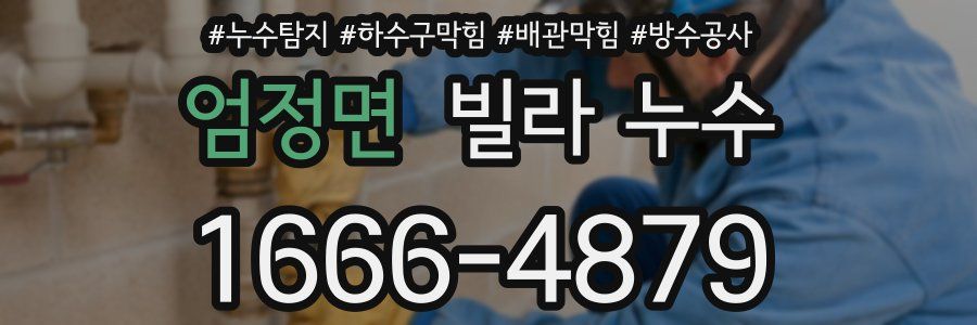 엄정면 빌라 누수