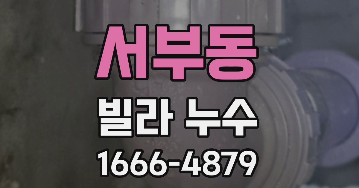 서부동 빌라 누수