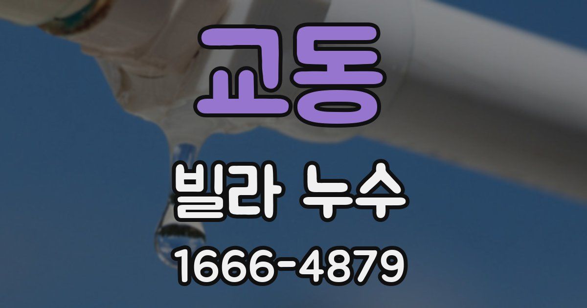 교동 빌라 누수