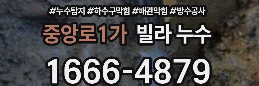 중앙로1가 빌라 누수