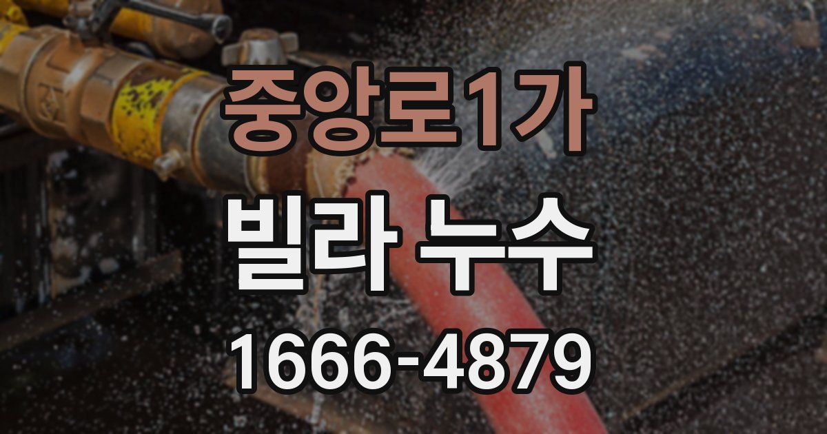 중앙로1가 빌라 누수