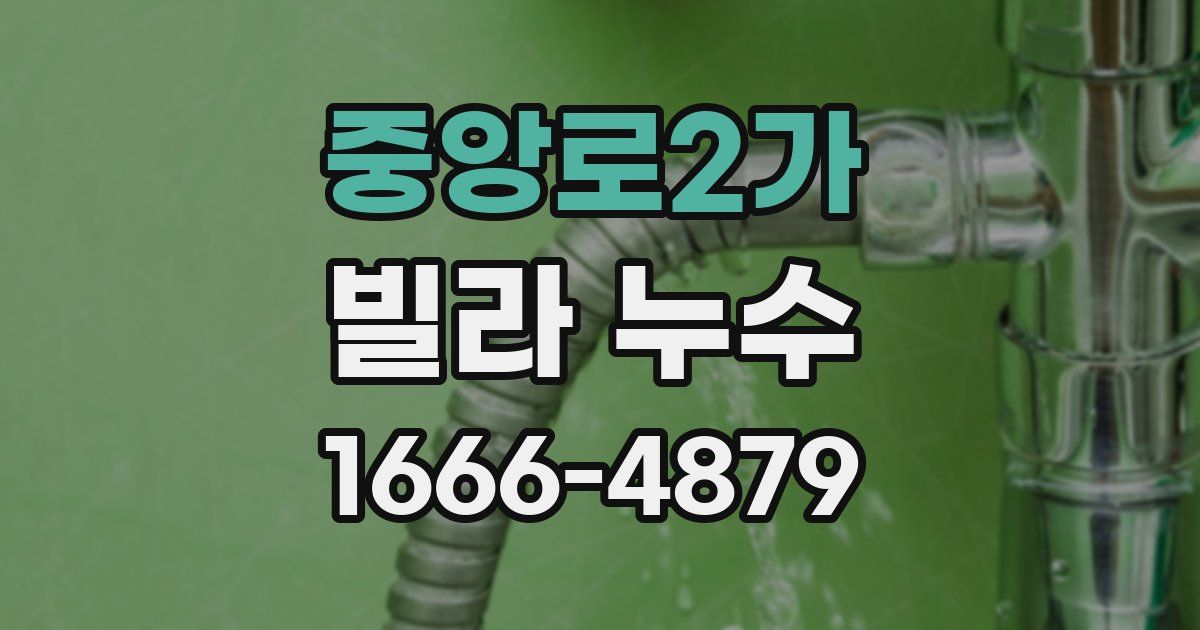 중앙로2가 빌라 누수