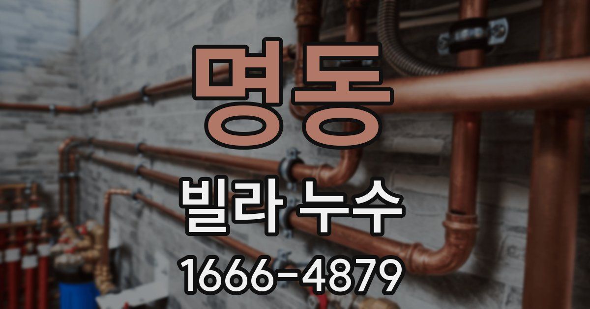 명동 빌라 누수