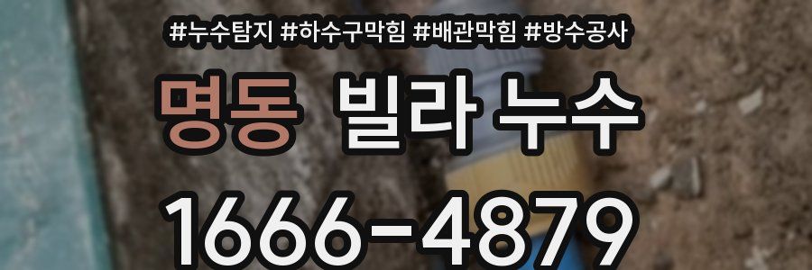 명동 빌라 누수