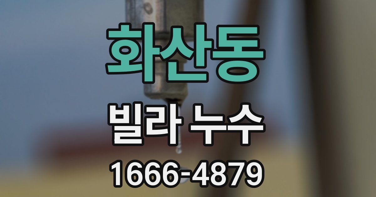 화산동 빌라 누수