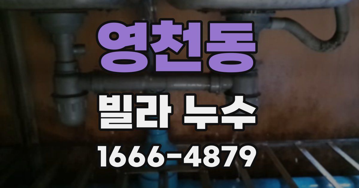 영천동 빌라 누수
