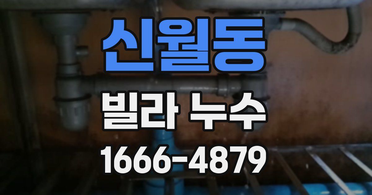 신월동 빌라 누수